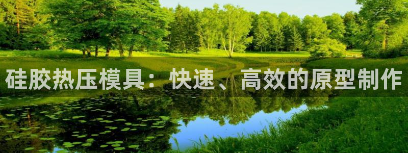易倍电竞,有球必应