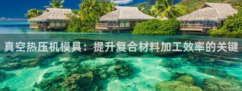 易倍康简历