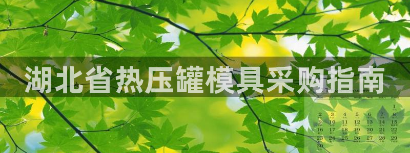 emc服务器是什么