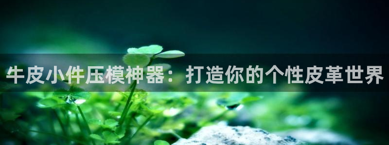 emc易倍电竞：牛皮小件压模神器：打造你的个性皮革世界