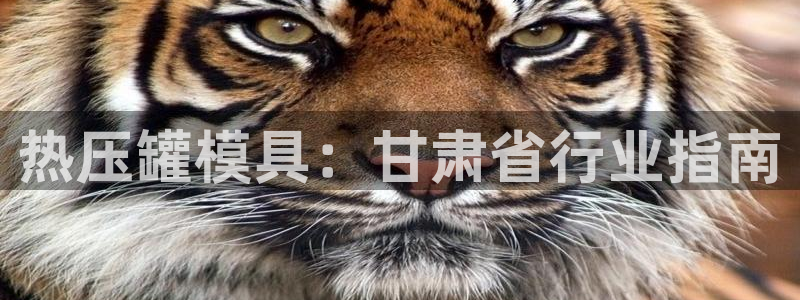 易倍康简历：热压罐模具：甘肃省行业指南
