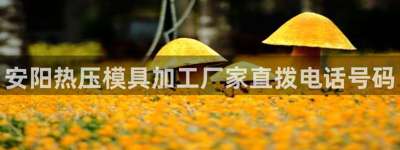 emc全站下载地址