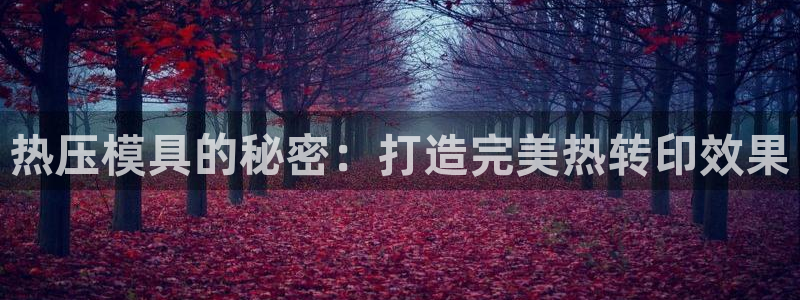 emc低频：热压模具的秘密：打造完美热转印效果