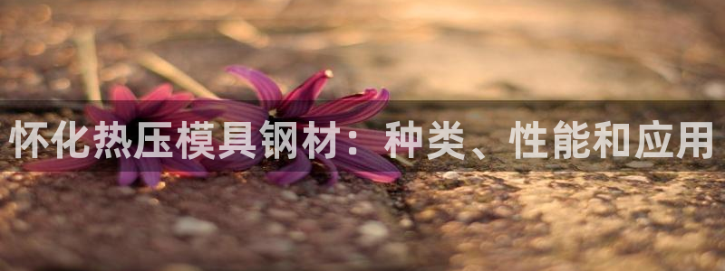 易倍达科技有限公司怎么样