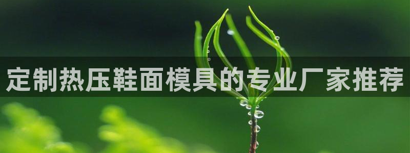 emc易倍的服务优势