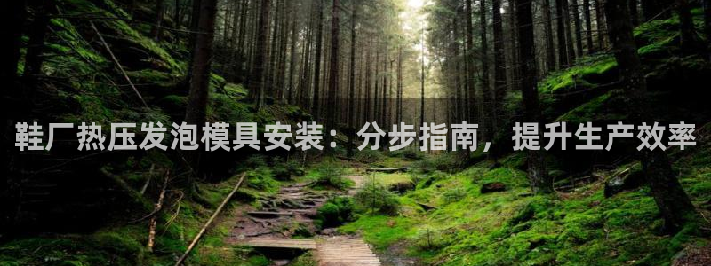 易倍下载地址：鞋厂热压发泡模具安装：分步指南，提升生产效