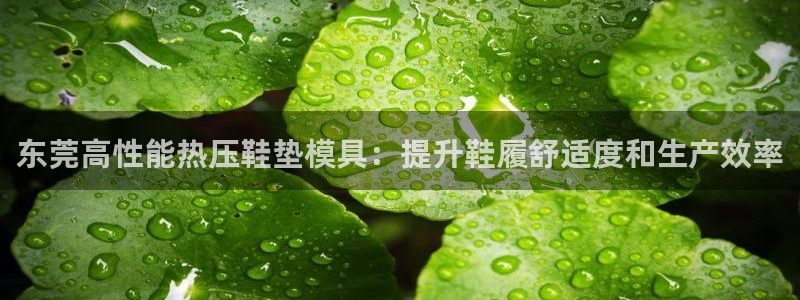 emc易倍首存500送球衣：东莞高性能热压鞋垫模具：提升