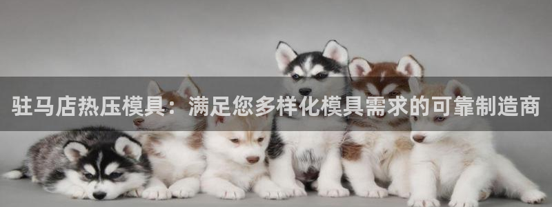 emc全站ag：驻马店热压模具：满足您多样化模具需求的可