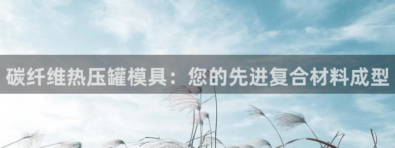 易倍达科技有限公司：碳纤维热压罐模具：您的先进复合材料成