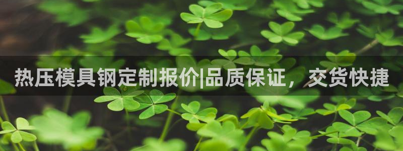 emc易倍官方：热压模具钢定制报价|品质保证，交货快捷