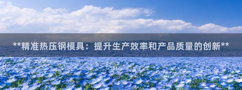 emc备份软件：**精准热压钢模具：提升生产效率和产品质