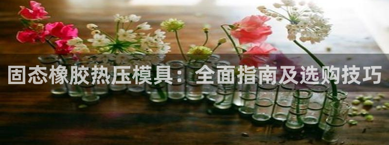 emc易倍网站是多少：固态橡胶热压模具：全面指南及选购技