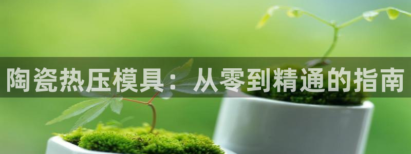 易倍企业管理软件怎么样：陶瓷热压模具：从零到精通的指南