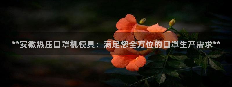 易倍单词app下载：**安徽热压口罩机模具：满足您全方位
