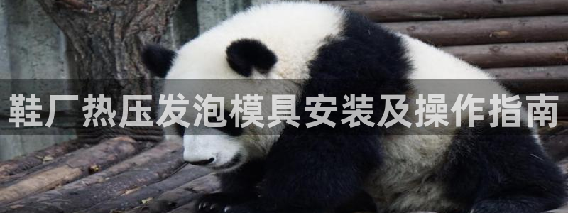 武汉易倍捷科技有限公司：鞋厂热压发泡模具安装及操作指南