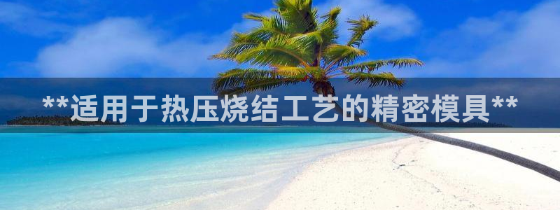 emcapp下载普通下载：**适用于热压烧结工艺的精密模