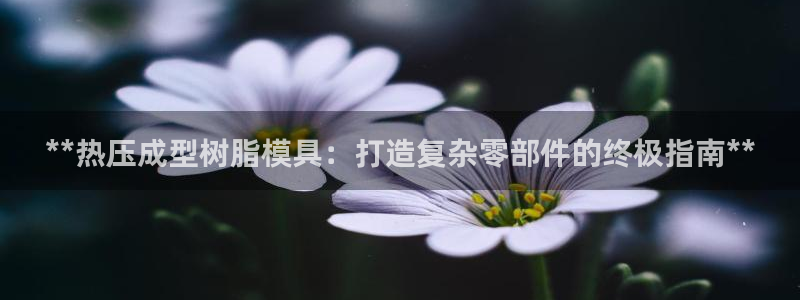 低频的emc用什么滤波：**热压成型树脂模具：打造复杂零