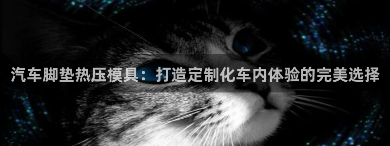 易倍下载：汽车脚垫热压模具：打造定制化车内体验的完美选择