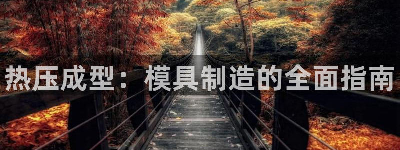 emc倍频