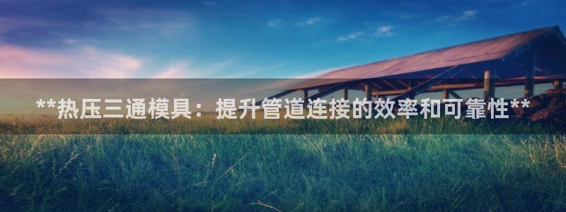 易倍英语官方网站登录：**热压三通模具：提升管道连接的效