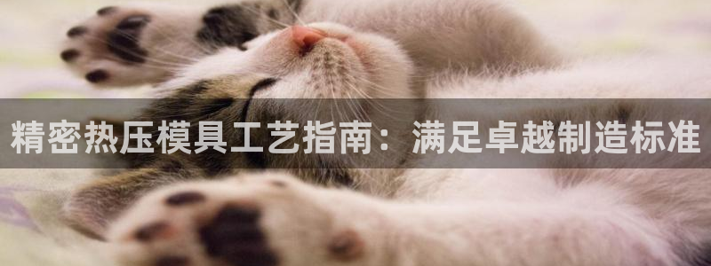 EMC倍频是什么意思：精密热压模具工艺指南：满足卓越制造