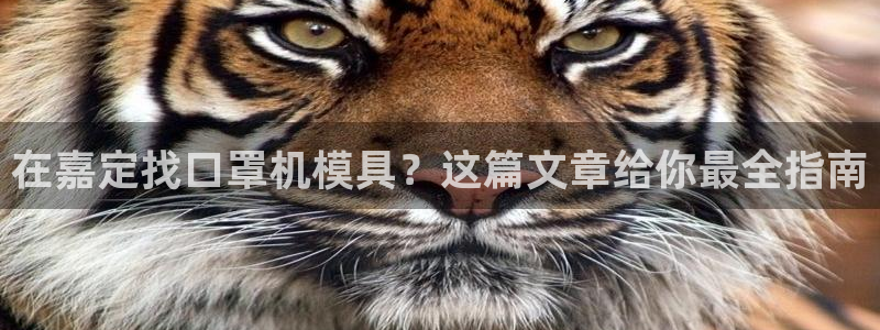 易倍单词官网下载