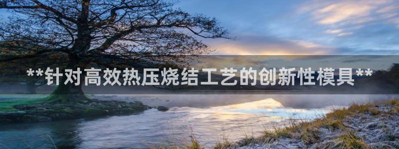 易倍emc安全吗：**针对高效热压烧结工艺的创新性模具*
