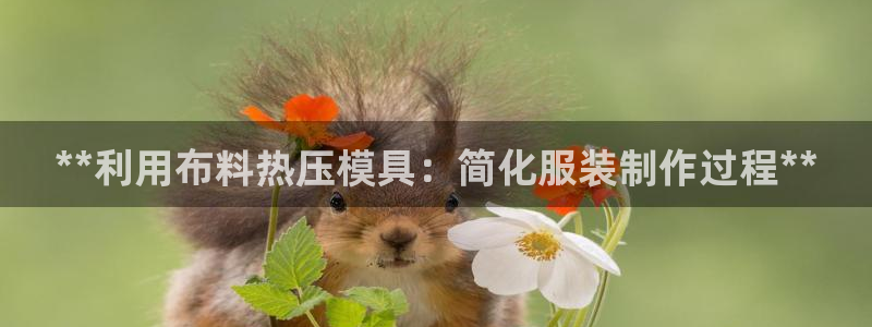 emcapp下载普通下载：**利用布料热压模具：简化服装