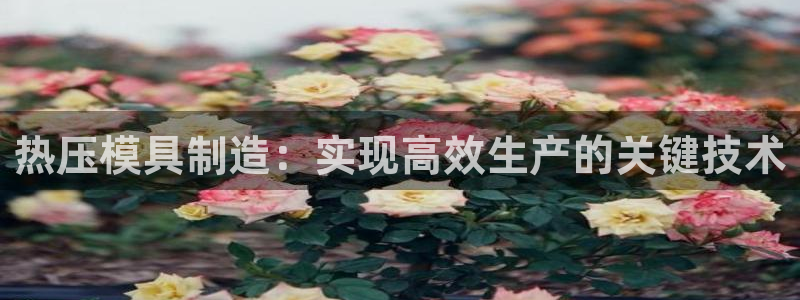 易倍申多少钱：热压模具制造：实现高效生产的关键技术