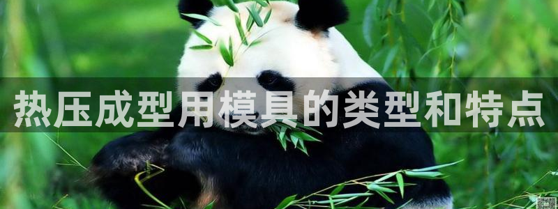 易倍企业管理软件