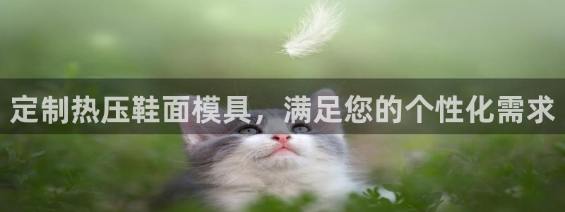 易倍纤酵素效果好吗