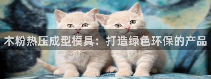emc易倍出空款