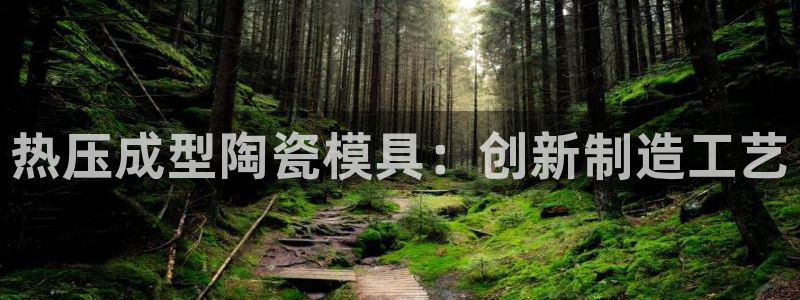 emc易倍官网app：热压成型陶瓷模具：创新制造工艺