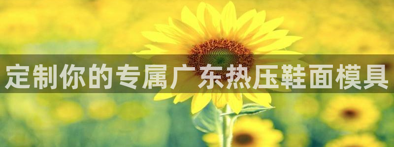 易倍下载地址：定制你的专属广东热压鞋面模具