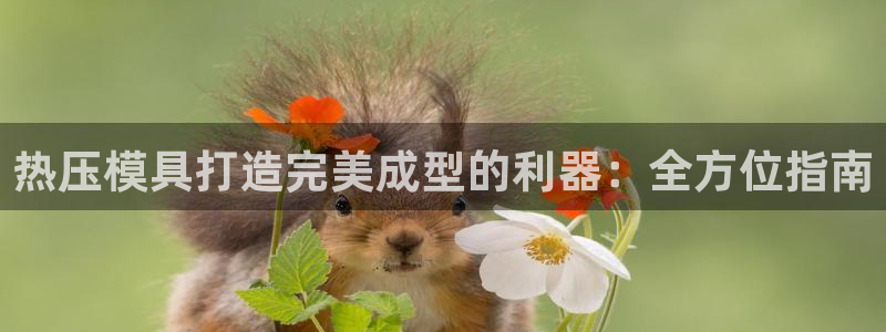 emc易倍出空款：热压模具打造完美成型的利器：全方位指南