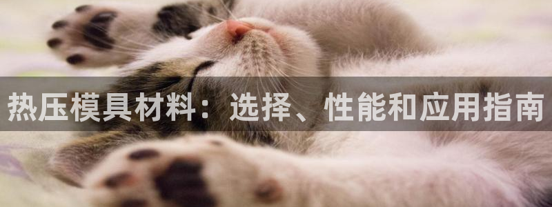 北京易倍思教育科技有限公司：热压模具材料：选择、性能和应
