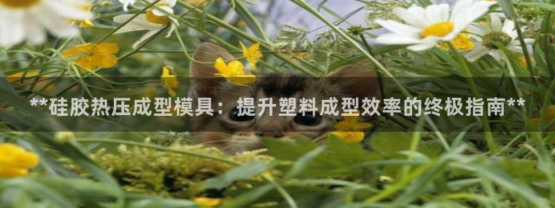emc易倍穆里尼奥：**硅胶热压成型模具：提升塑料成型效