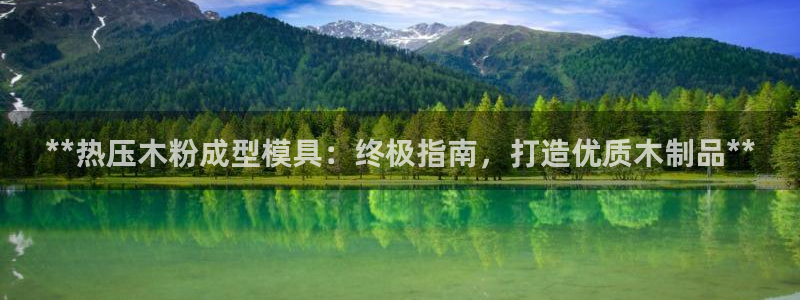 易倍电竞：**热压木粉成型模具：终极指南，打造优质木制品