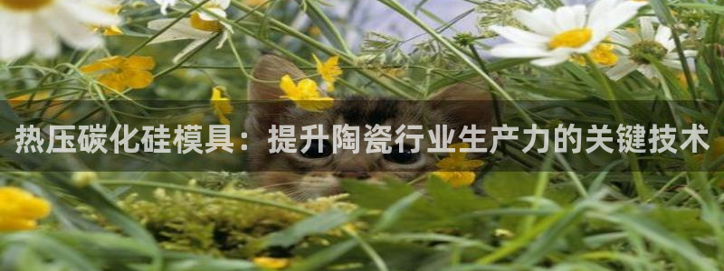 emc32软件：热压碳化硅模具：提升陶瓷行业生产力的关键