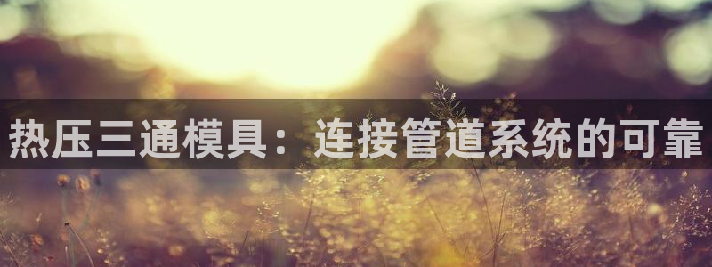 易倍单词平台：热压三通模具：连接管道系统的可靠
