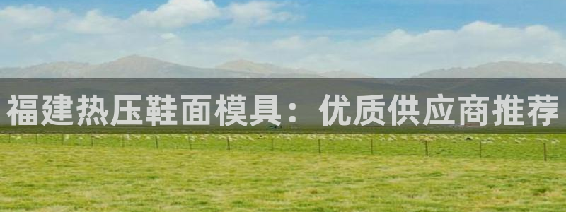 emc易倍电竞：福建热压鞋面模具：优质供应商推荐