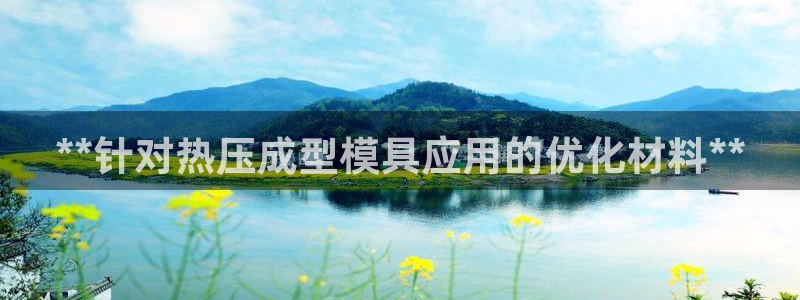 四川易倍易企业管理有限公司：**针对热压成型模具应用的优