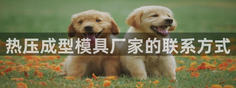 emc易倍网页版