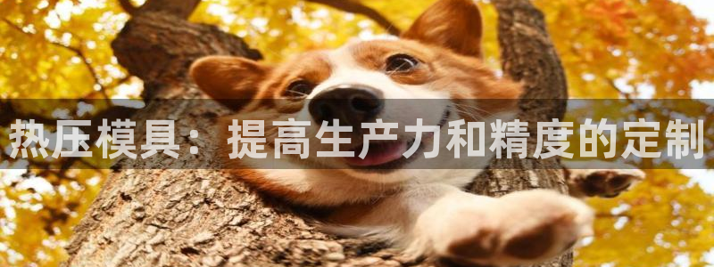 易倍纤减肥反弹不：热压模具：提高生产力和精度的定制