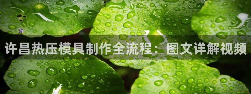 易倍英语官方网站登录