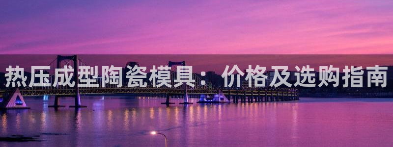 易倍网络技术有限公司怎么样：热压成型陶瓷模具：价格及选购