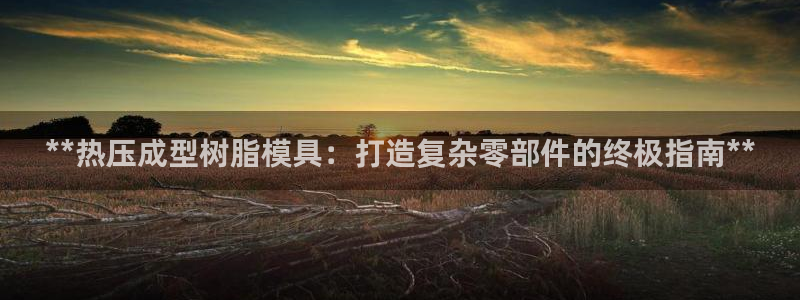 emc易赔：**热压成型树脂模具：打造复杂零部件的终极指