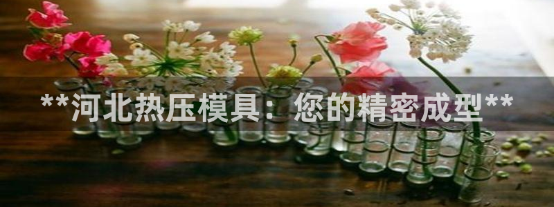 易倍企业管理软件怎么样：**河北热压模具：您的精密成型*