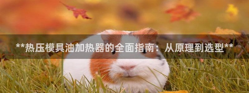 上海易倍投资有限公司：**热压模具油加热器的全面指南：从