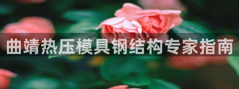 上海易倍投资有限公司